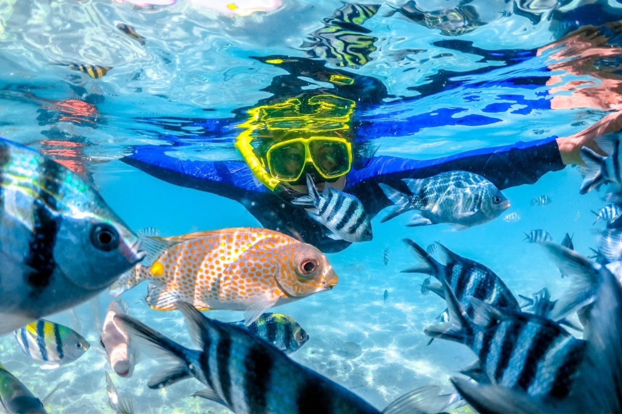 Terra & Marine Eco Camp