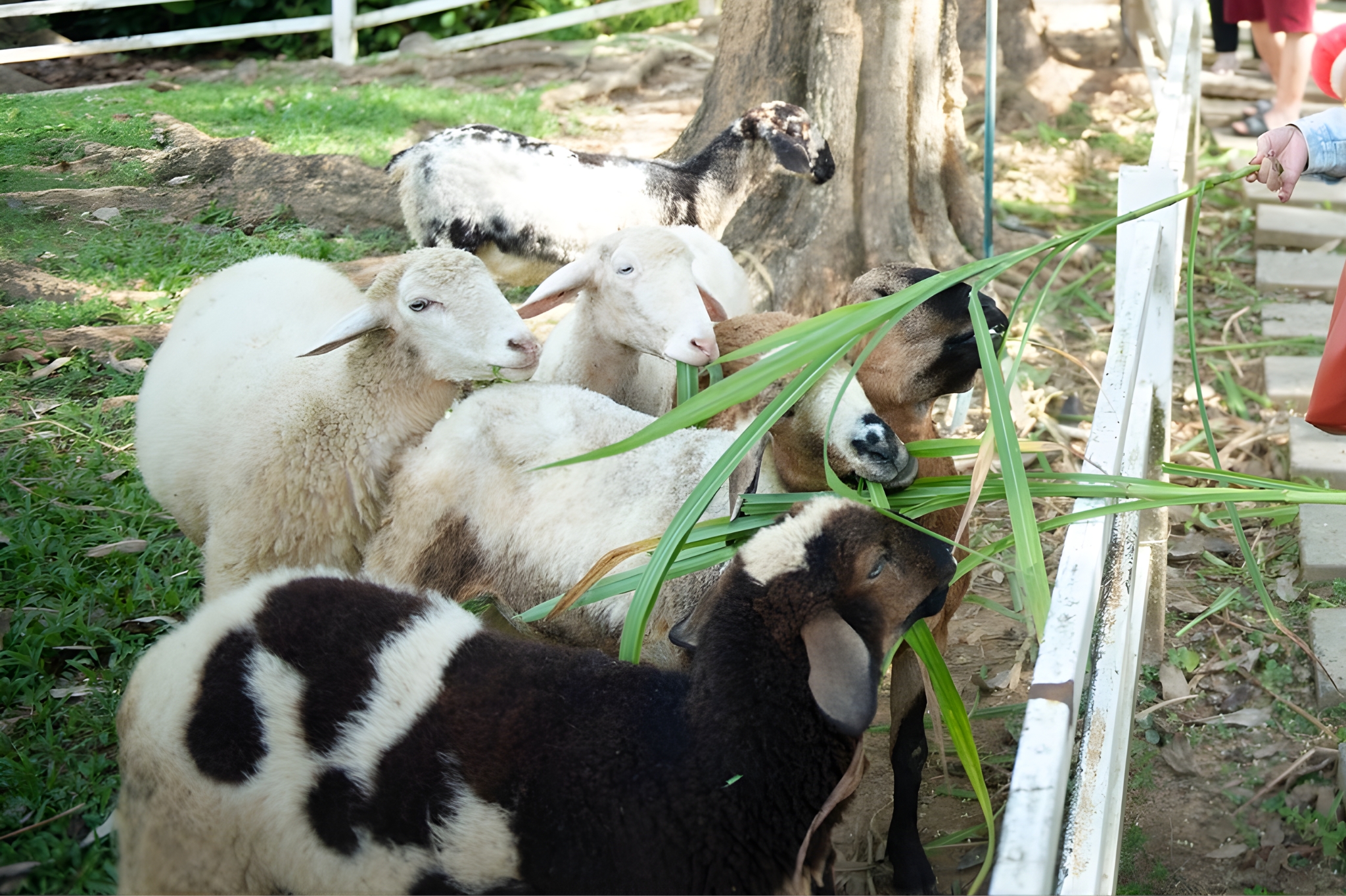 ภาพสไลด์ กาญจนบุรี